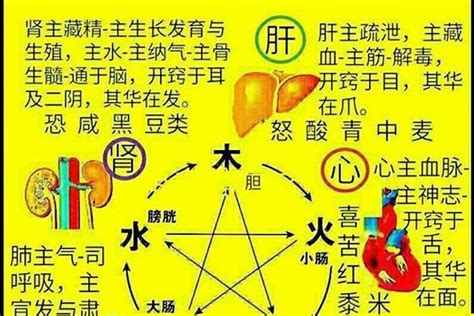 火屬性名字|五行属火最吉利的字,五行属火最旺的字吉祥有寓意